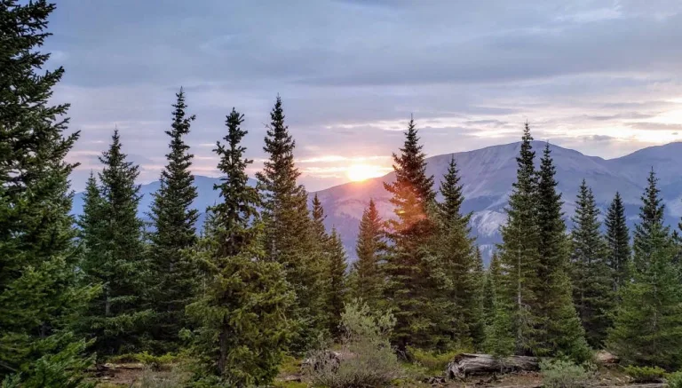 CREATOR: gd-jpeg v1.0 (using IJG JPEG v80), quality = 90