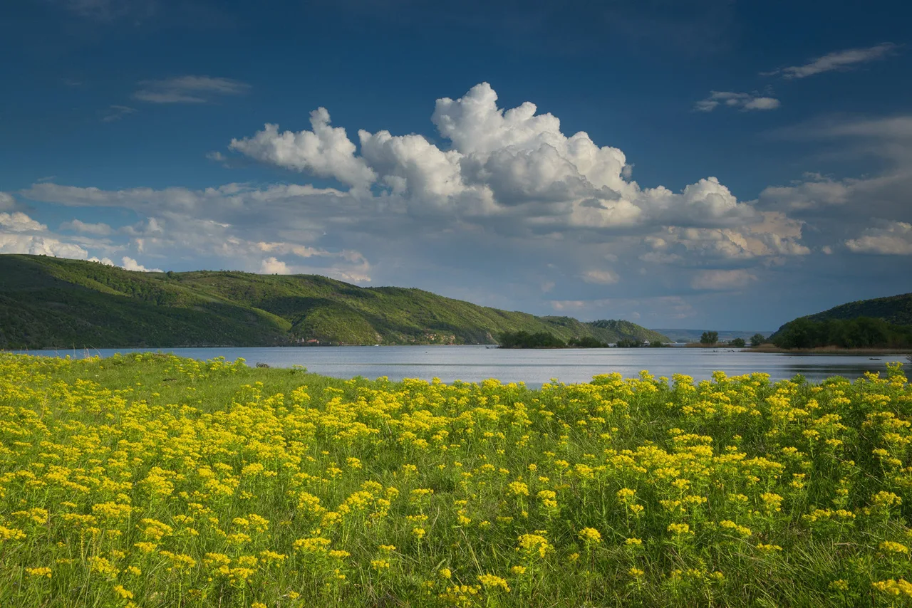 situl Natura 2000 Frumoasa