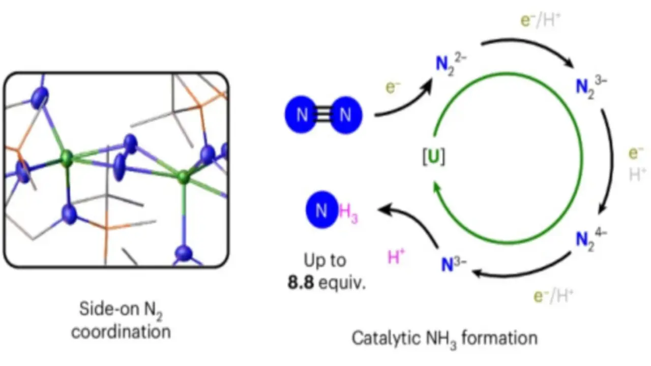 azotul din aer în amoniac